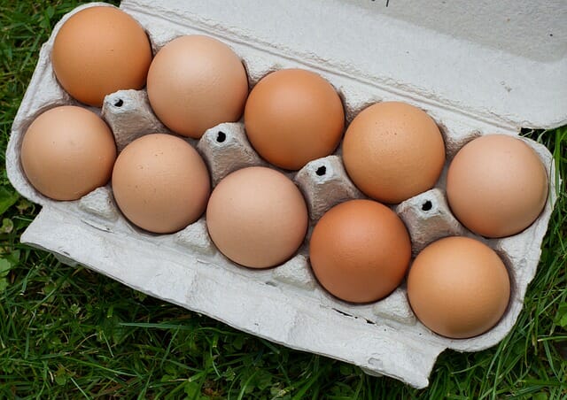Can Herbs Boost Your Chickens’ Egg Production? Yes!