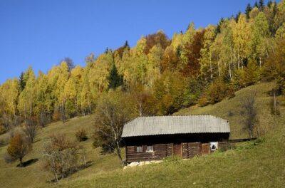 8 Things To Consider Before Homesteading On Bare Land