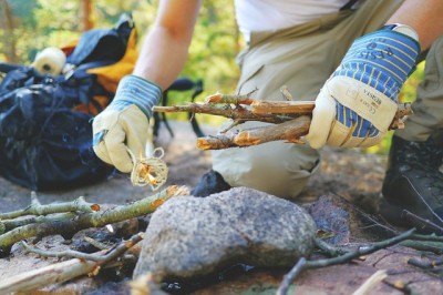 7 Little-Noticed Ways to Use Tree Bark for Survival