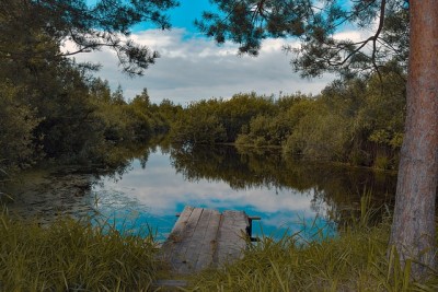 How To Make Sure Your Pond Never Dries Up, Freezes Or Gets Algae