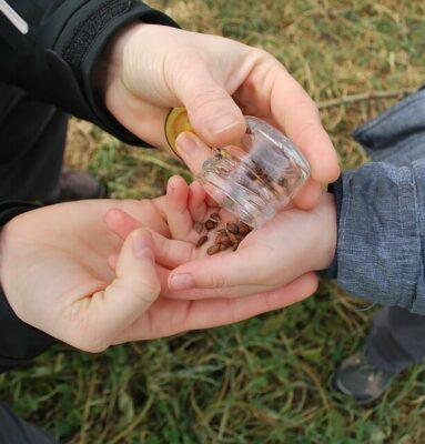 Seed-Saving 101: Everything You Were Too Embarrassed To Ask