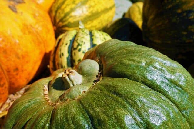 11 Amazing Ways Squash Can Keep You Healthy