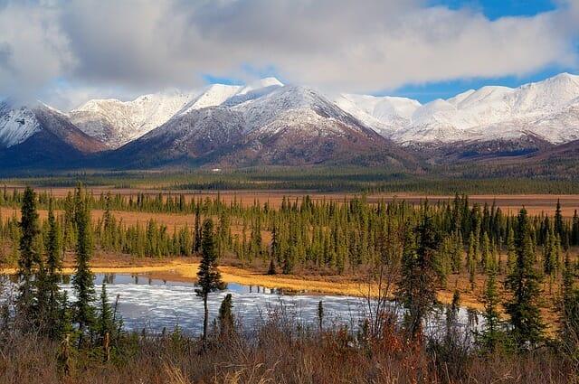 Retired, Happy, & 100 Percent Off Grid In Alaska -- ‘We’re Staying’