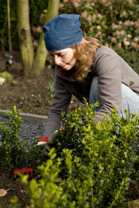 Garden Prep for the Beginner Gardener