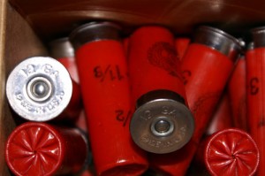 shotgun shells