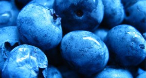 Blueberries: God’s Perfect Little Fruit