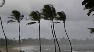 hurricane winds