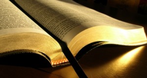 Surviving vs. Serving: A Biblical View of Preparing