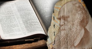 What The Bible Really Says About Race