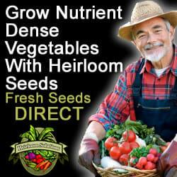 https://www.heirloomsolutions.com