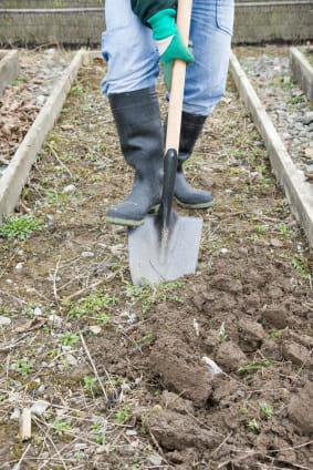 Winter IS Gardening Time