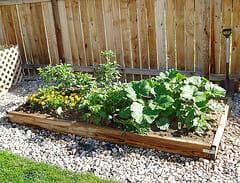 Raised Bed Gardens