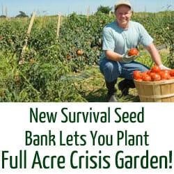 https://www.survivalseedbank.com