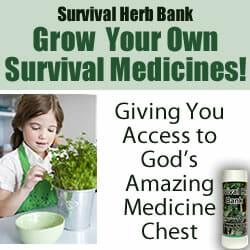 https://www.survivalherbbank.com