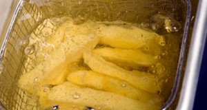 French Fries In Your Tank: Diesel and Grease Kits