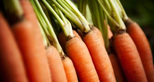 Curative Properties of Carrots