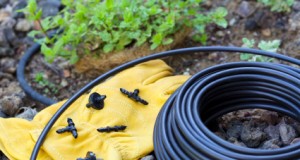 Off the Grid: Drip Irrigation
