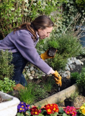 gardener