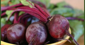 The Beet Family