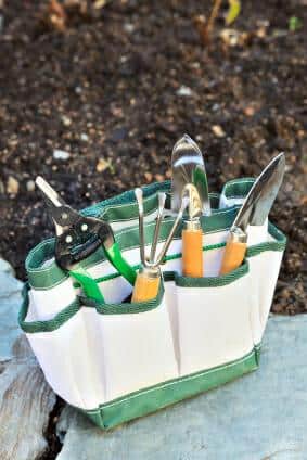 Forget Spring Cleaning: Fall Chores for a Great Garden Next Year