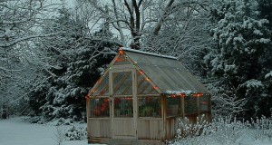 The Basics of Cold-Weather Gardening