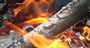 Fire for Survival, Part 2: Fire Architecture and Engineering