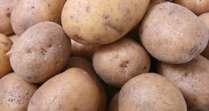 Potatoes for Vodka, Prepper Style