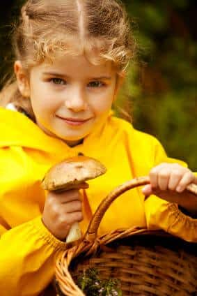 Teaching Your Homeschooler the Importance of Foraging