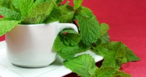 The Many Benefits of A Bountiful Mint Crop