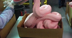 7 Million Pounds of “Pink Slime” Beef Headed for School Cafeterias