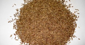 The Many Uses of Caraway