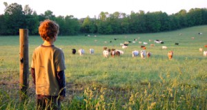 Senators Seek to Block Department of Labor Restrictions on Minors Working on Family Farms