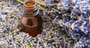How To Make Your Own Essential Oils and Perfumes