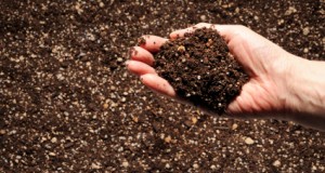 How Valuable Is Your Dirt?
