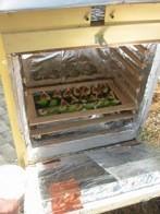 How To Build a Solar Food Dehydrator