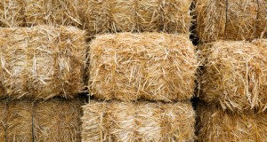 How To Construct A Straw Bale Structure