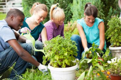 Group of teenage friends gardening.