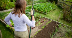14 Essential May Gardening Chores