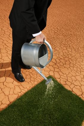 Gardening Through A Drought