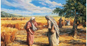 Ruth: Biblical Lessons in Immigration and Welfare