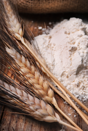 Which Grain Mill Should You Buy?