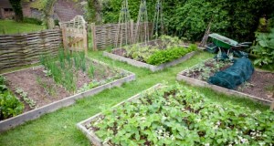 A Healthy Garden Is A Rotated Garden: Crop Rotation And Record Keeping
