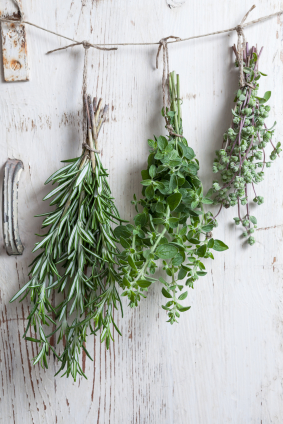 Preserving Your Herbs
