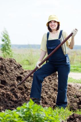 Let’s Talk Fertilizer: Which Manure Is Right For You?