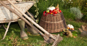 Top 10 Dos and Don’ts for Fall Gardening