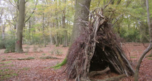 Building A Survival Shelter With Natural Materials