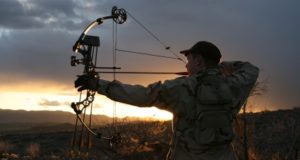 Bow Hunting: Compound vs. Traditional Bows