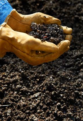 Lasagna Composting: The Lazy Gardener’s Secret To Great Soil