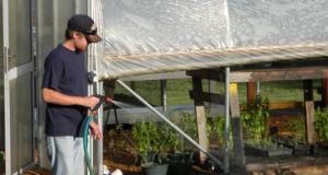How To Get In The Greenhouse Business