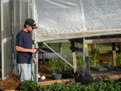 whitten greenhouse